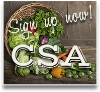 sign up now for CSA