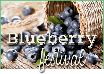 blueberry festival